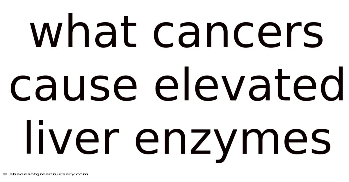 What Cancers Cause Elevated Liver Enzymes