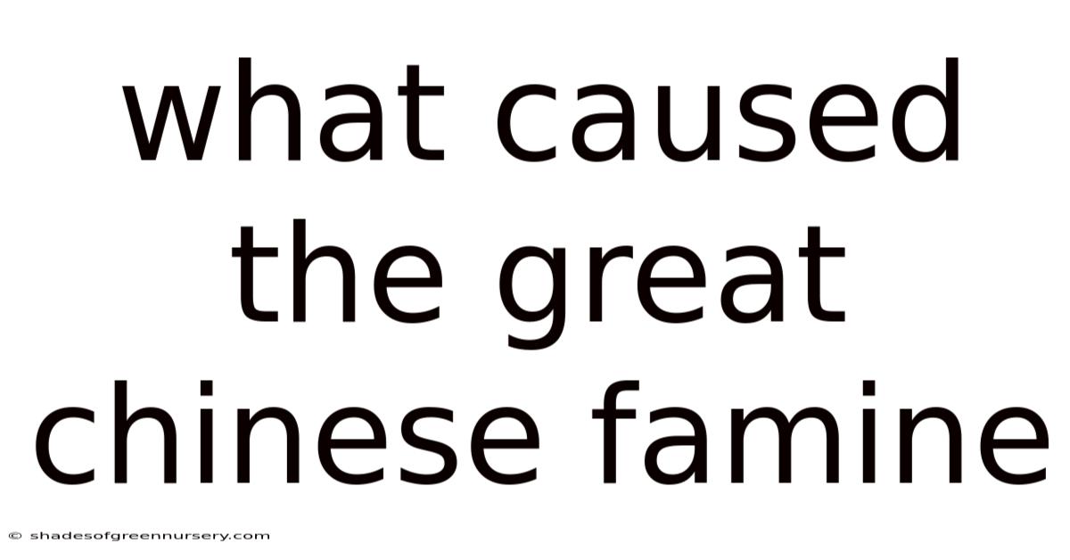 What Caused The Great Chinese Famine