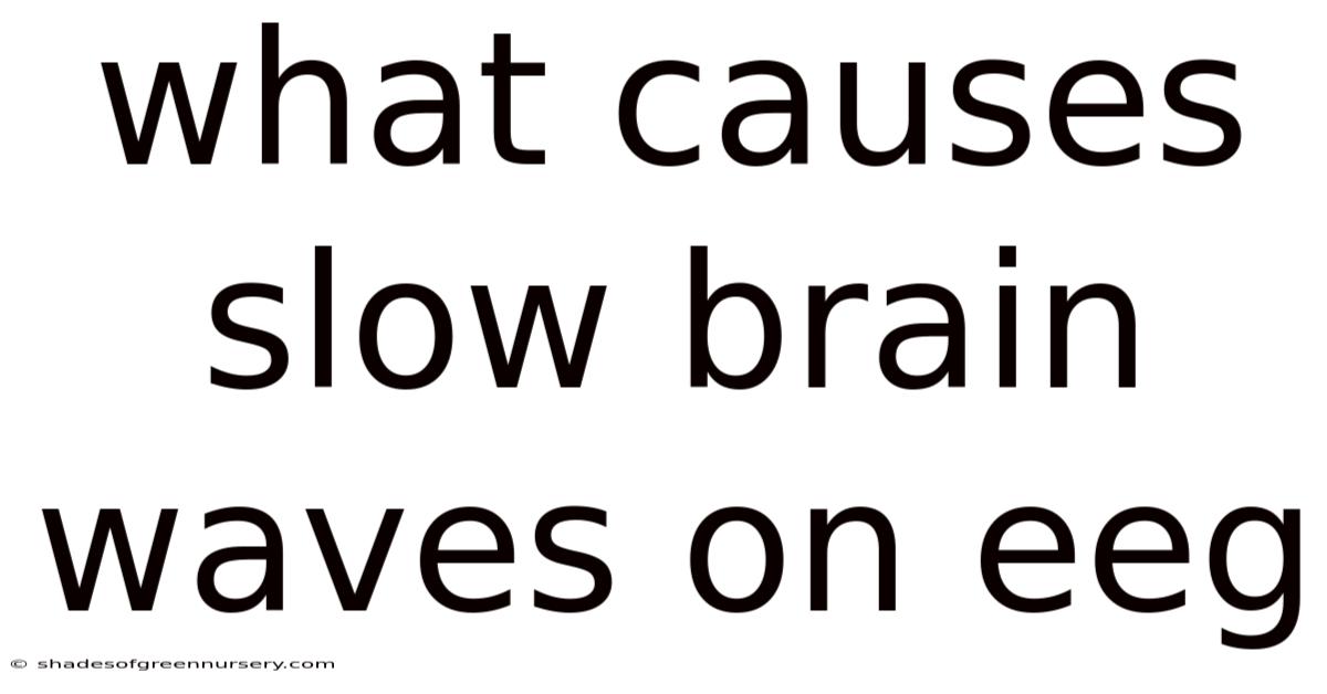 What Causes Slow Brain Waves On Eeg