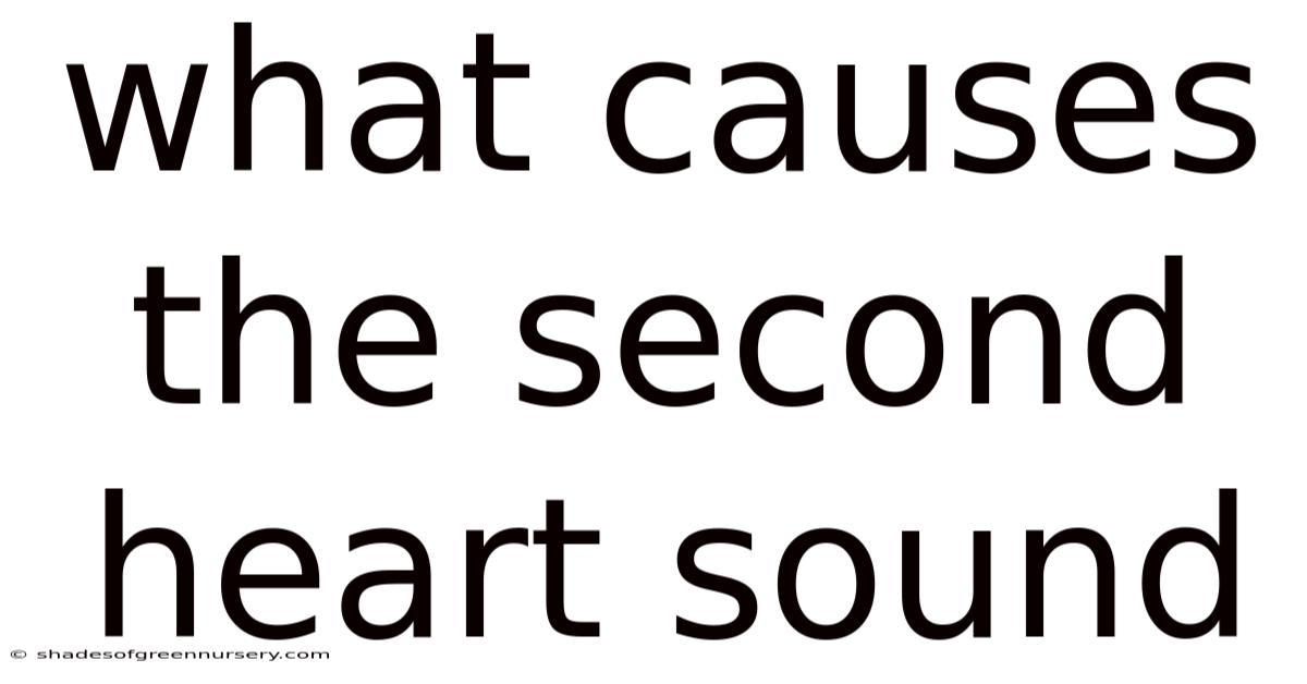 What Causes The Second Heart Sound