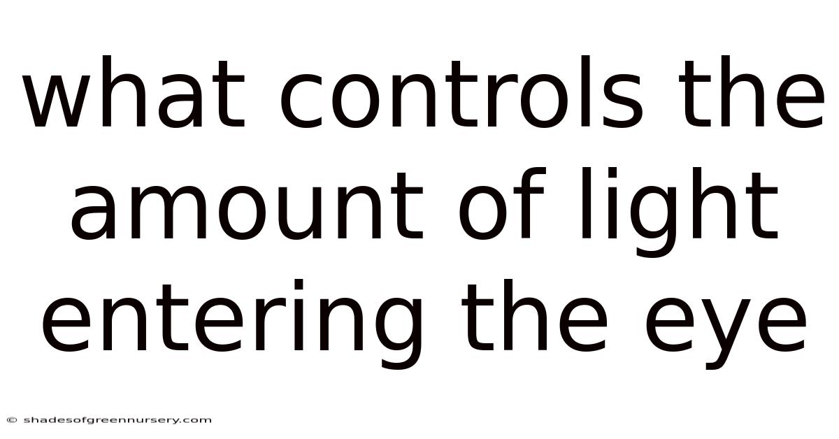 What Controls The Amount Of Light Entering The Eye