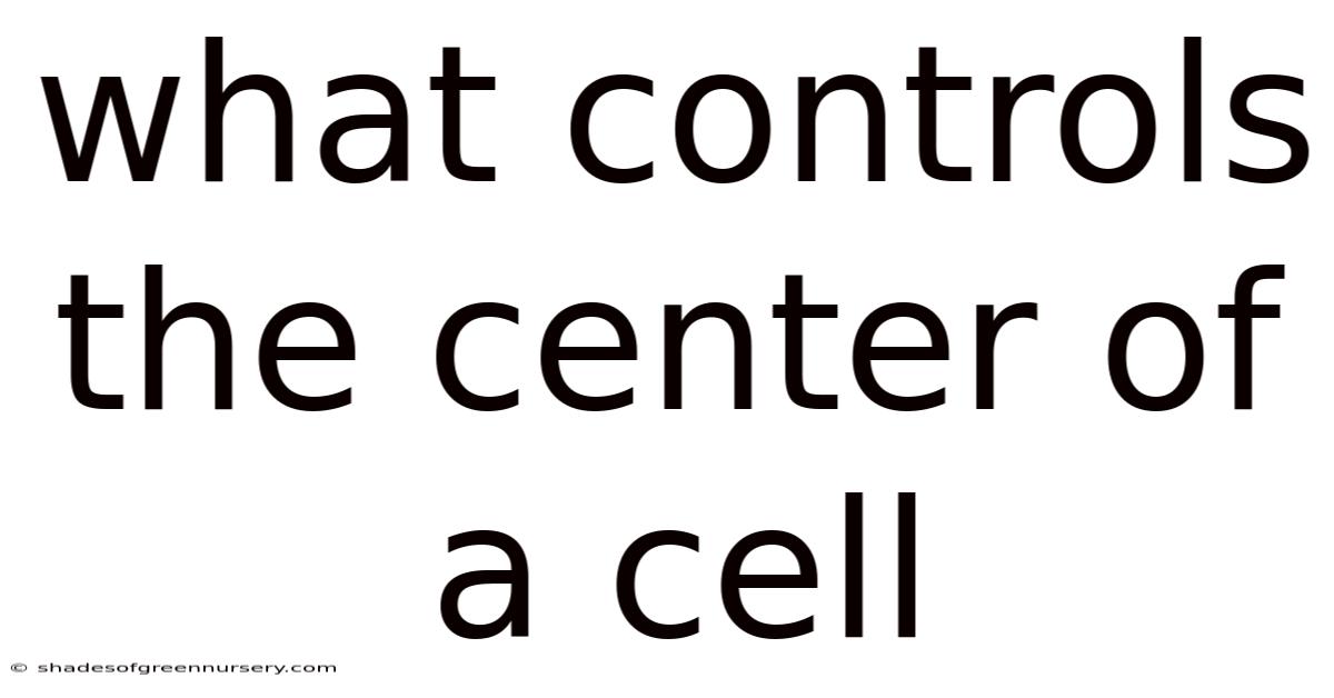 What Controls The Center Of A Cell