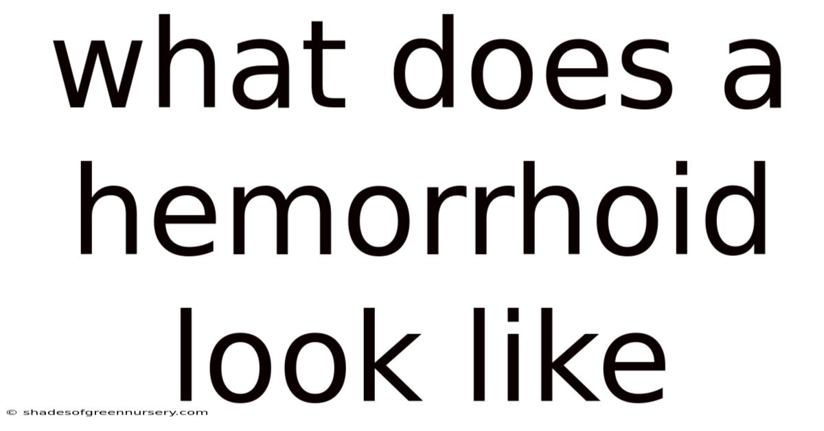 What Does A Hemorrhoid Look Like