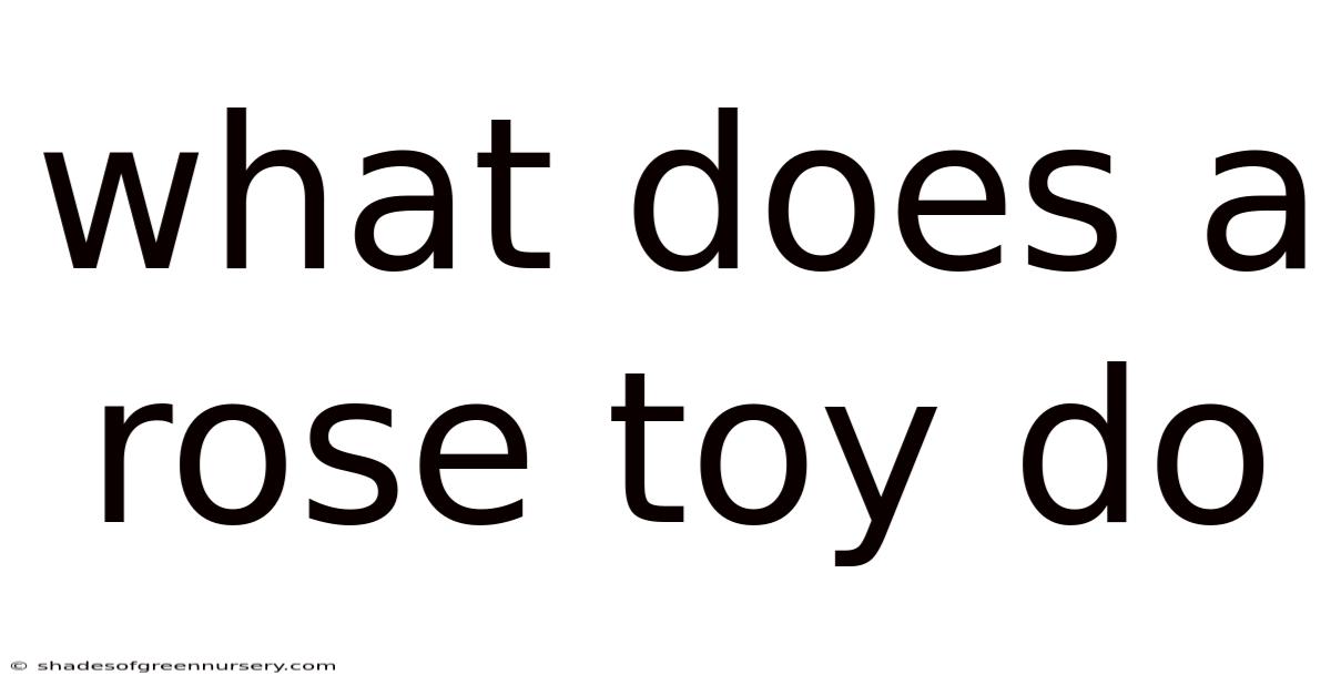 What Does A Rose Toy Do