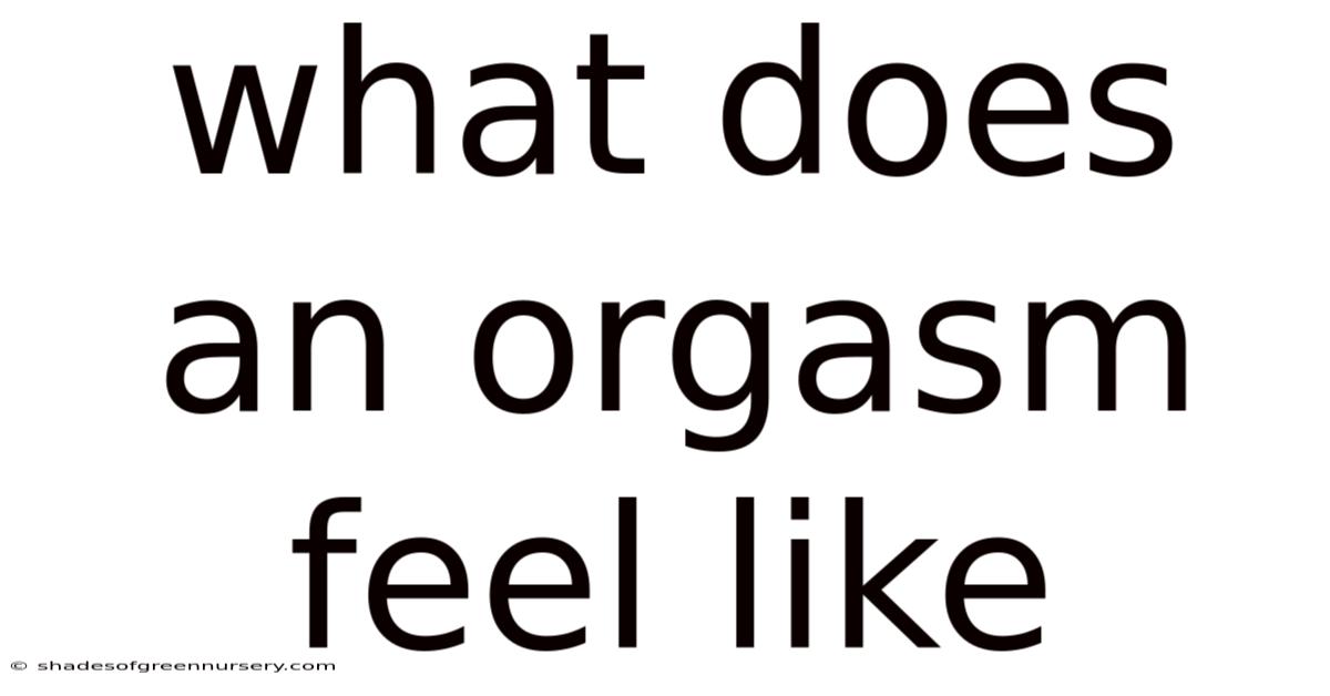 What Does An Orgasm Feel Like