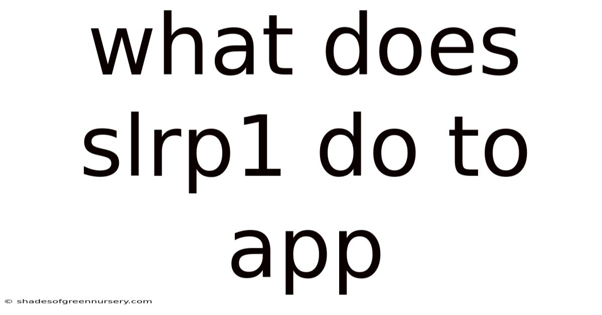 What Does Slrp1 Do To App