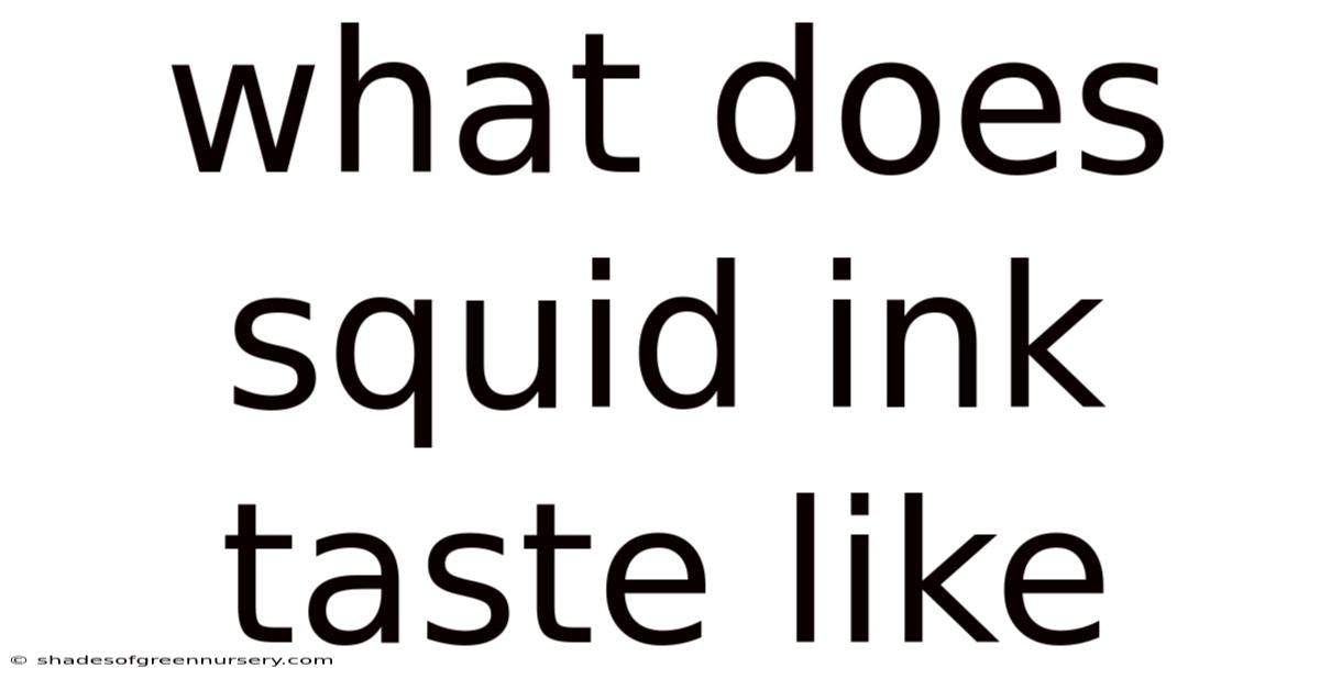 What Does Squid Ink Taste Like