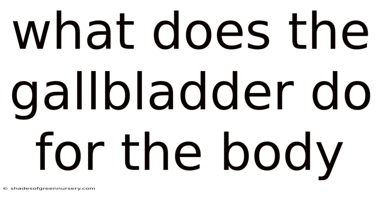 What Does The Gallbladder Do For The Body