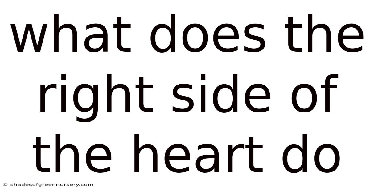 What Does The Right Side Of The Heart Do