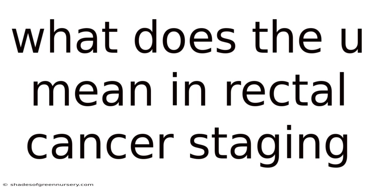 What Does The U Mean In Rectal Cancer Staging