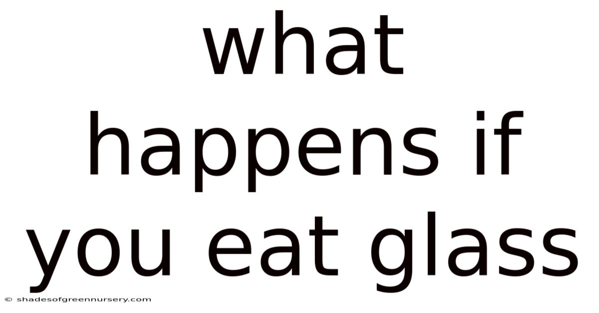 What Happens If You Eat Glass