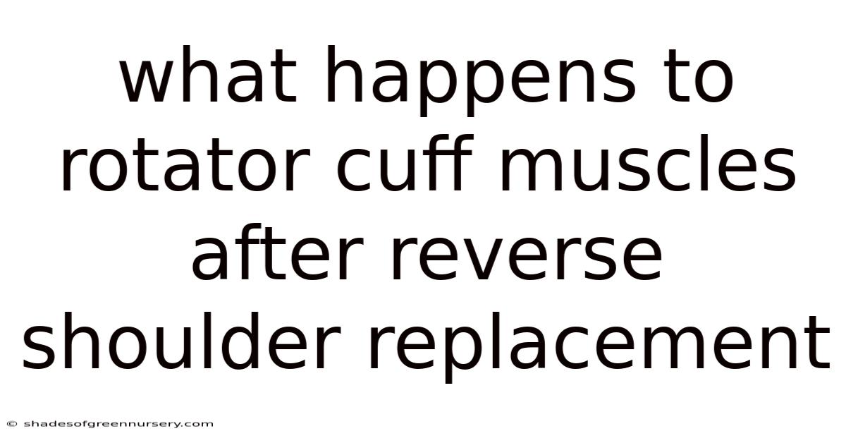 What Happens To Rotator Cuff Muscles After Reverse Shoulder Replacement
