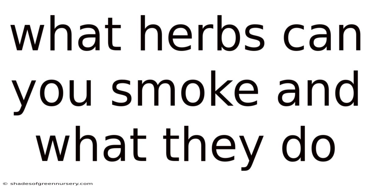 What Herbs Can You Smoke And What They Do