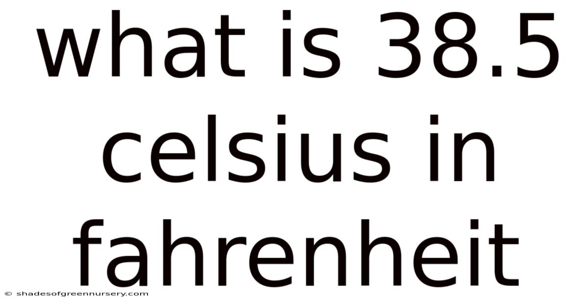 What Is 38.5 Celsius In Fahrenheit