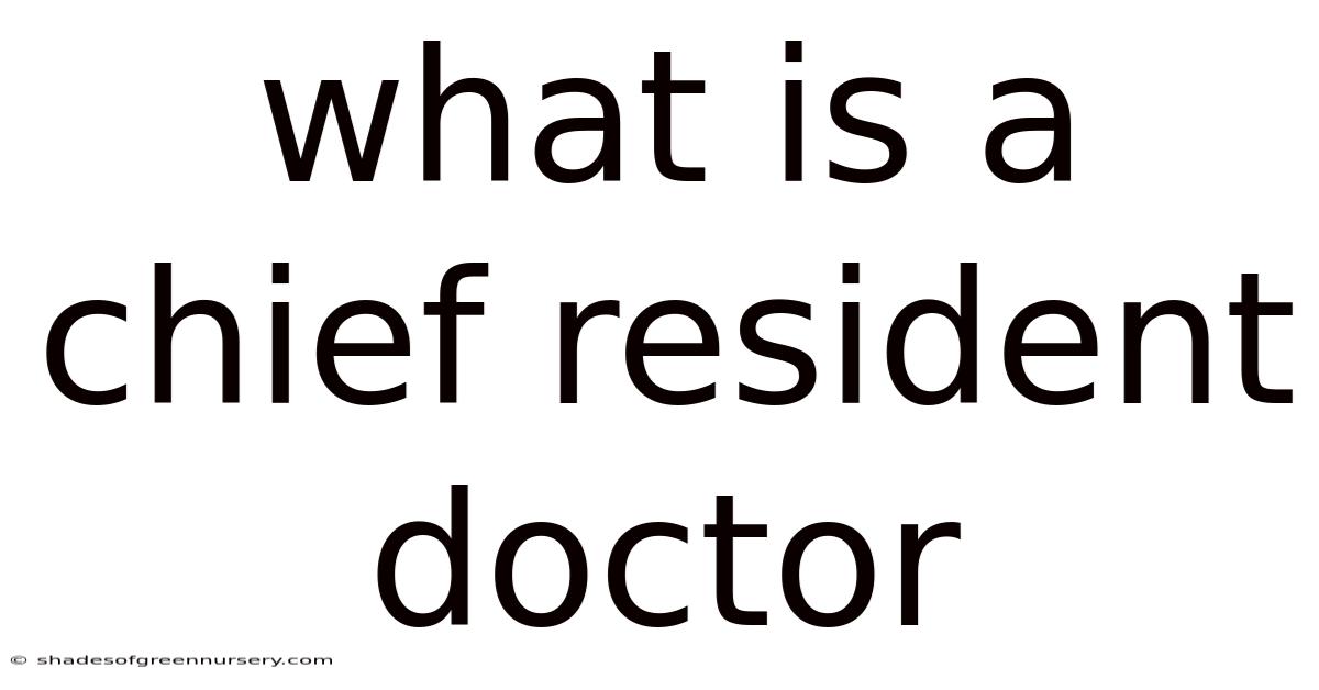 What Is A Chief Resident Doctor