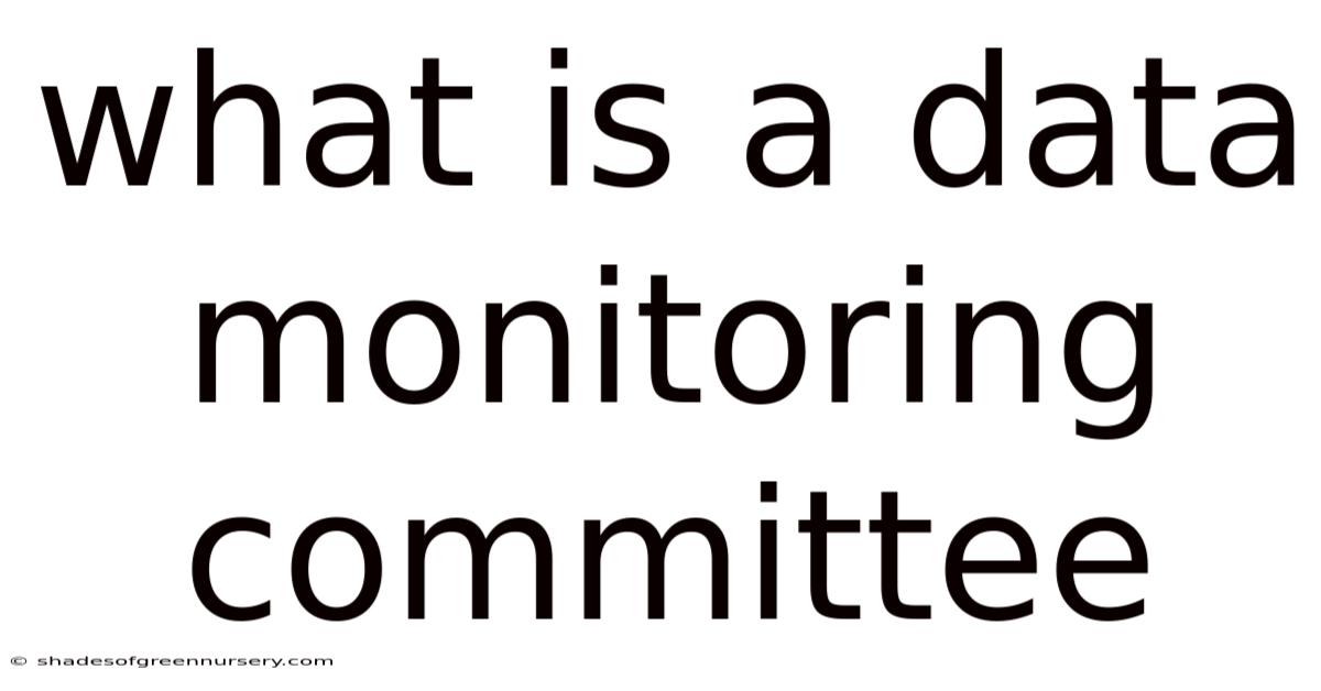What Is A Data Monitoring Committee