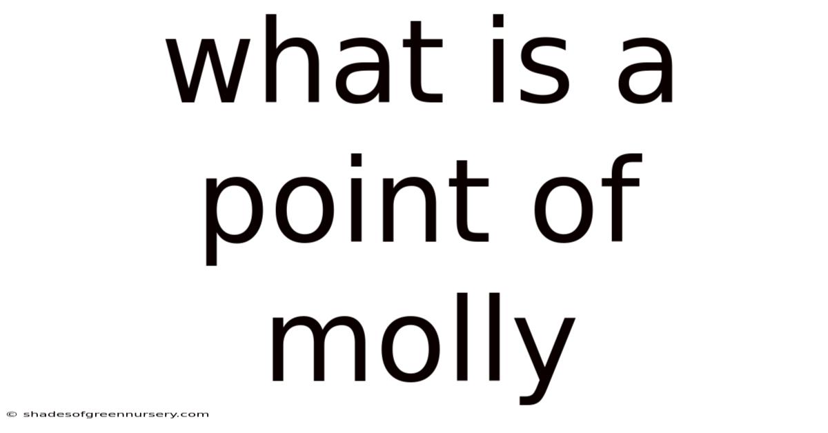 What Is A Point Of Molly