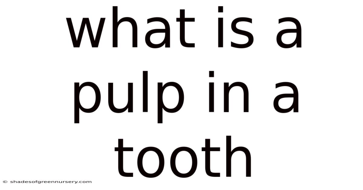 What Is A Pulp In A Tooth