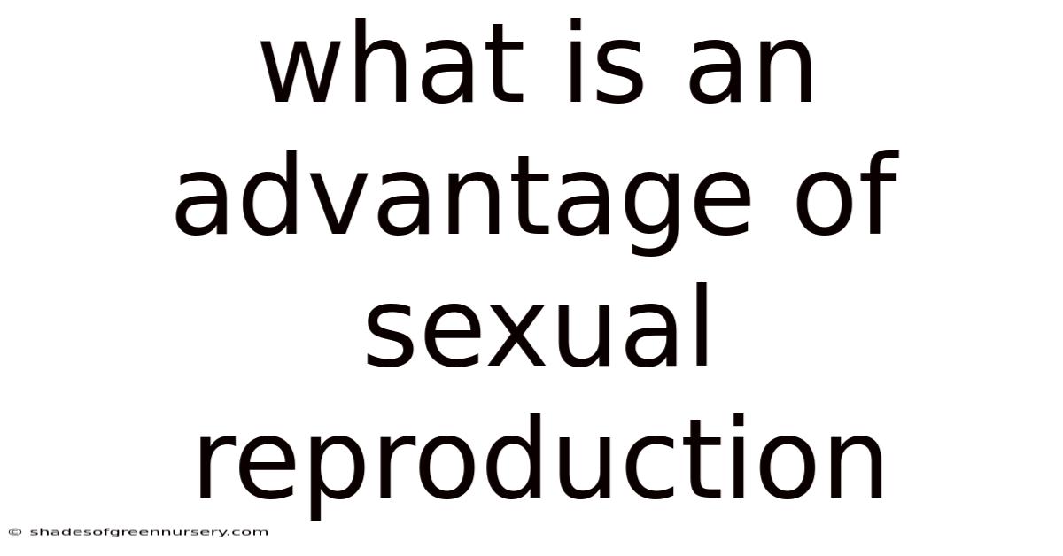 What Is An Advantage Of Sexual Reproduction