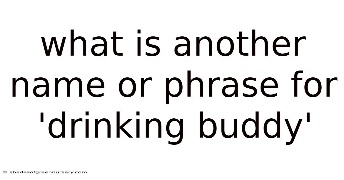 What Is Another Name Or Phrase For 'drinking Buddy'