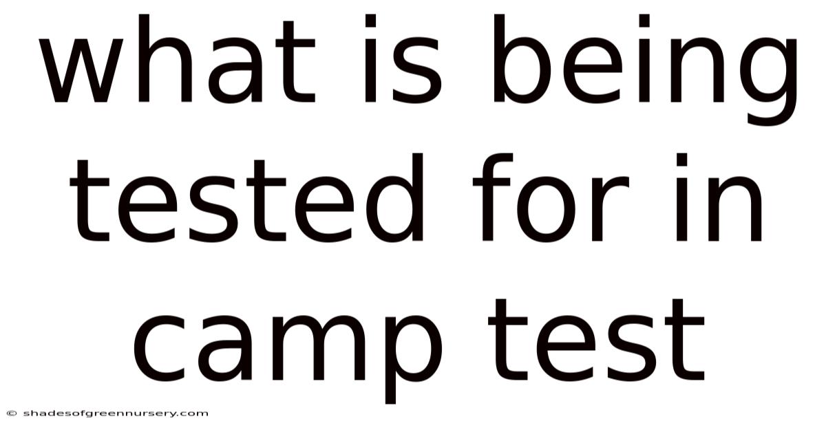 What Is Being Tested For In Camp Test