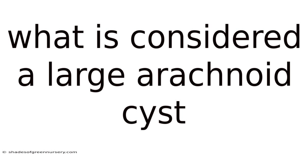 What Is Considered A Large Arachnoid Cyst