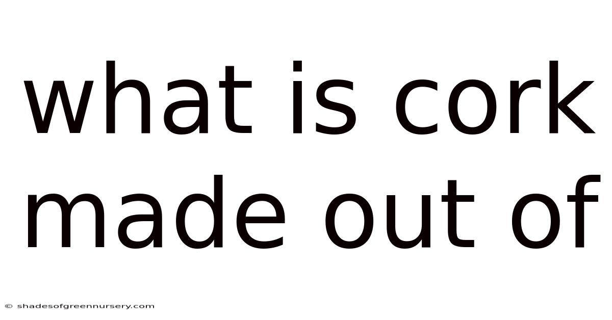 What Is Cork Made Out Of