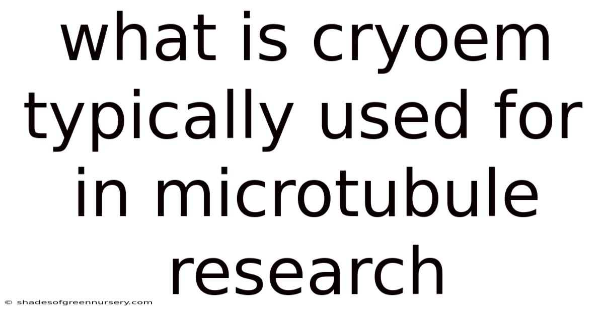 What Is Cryoem Typically Used For In Microtubule Research