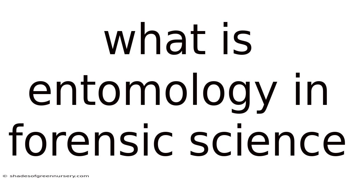What Is Entomology In Forensic Science