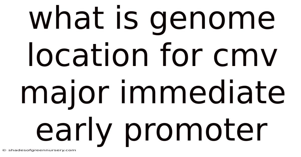What Is Genome Location For Cmv Major Immediate Early Promoter