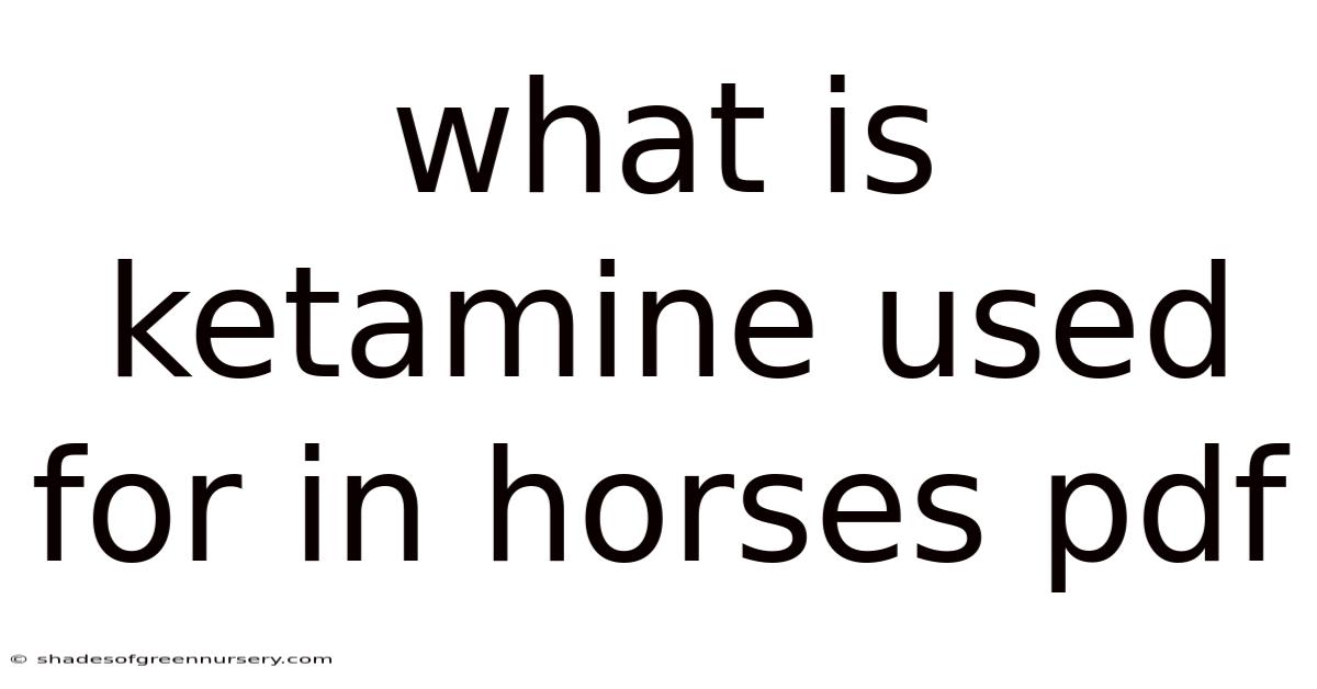 What Is Ketamine Used For In Horses Pdf