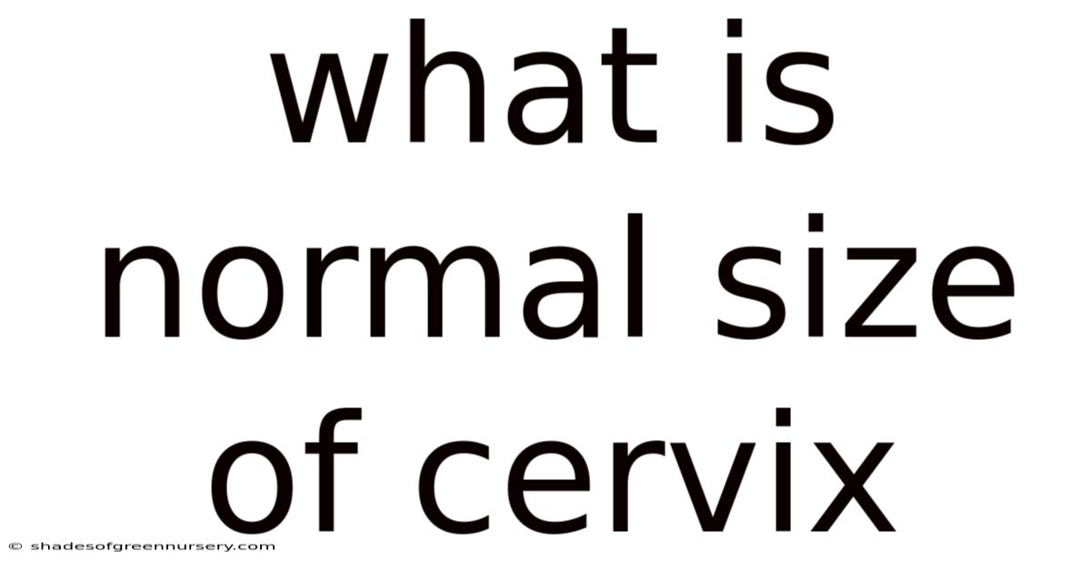 What Is Normal Size Of Cervix