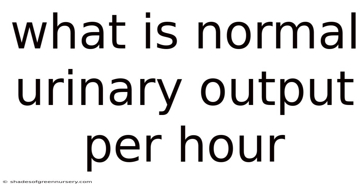 What Is Normal Urinary Output Per Hour