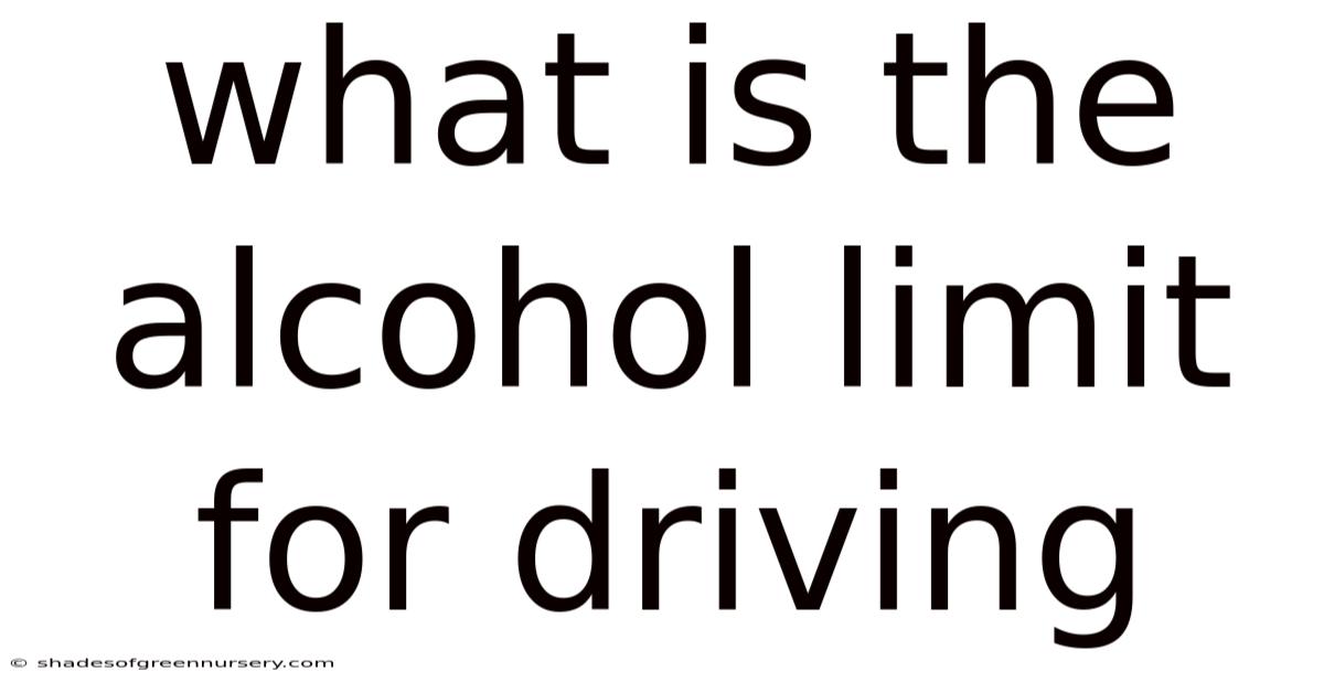 What Is The Alcohol Limit For Driving