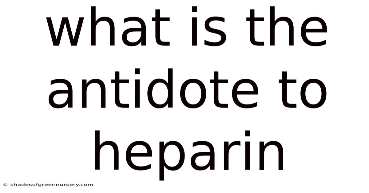 What Is The Antidote To Heparin