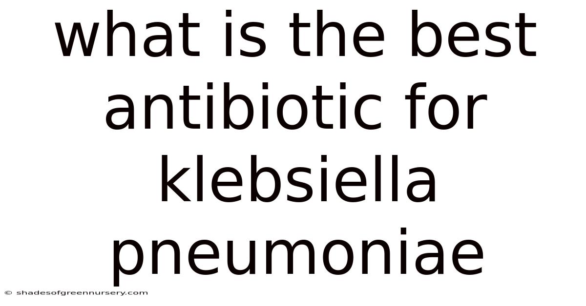 What Is The Best Antibiotic For Klebsiella Pneumoniae