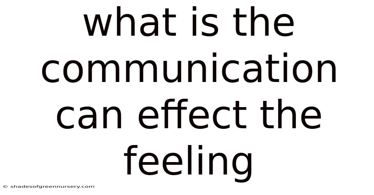 What Is The Communication Can Effect The Feeling