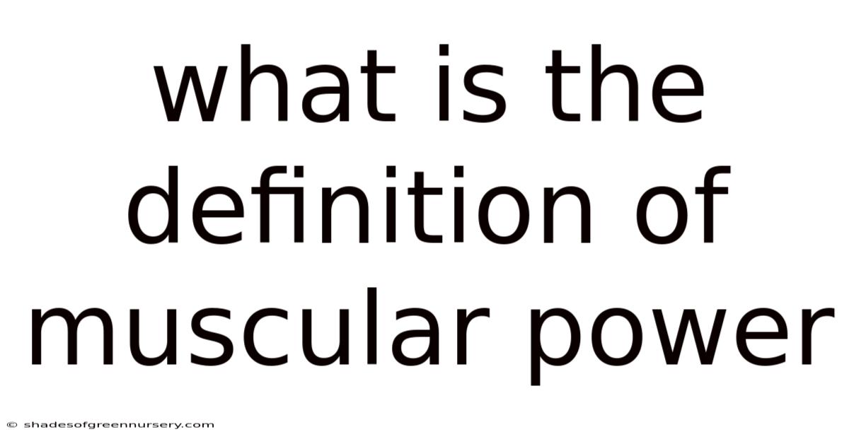 What Is The Definition Of Muscular Power