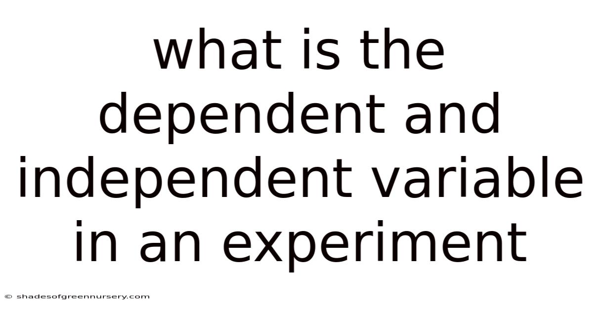 What Is The Dependent And Independent Variable In An Experiment
