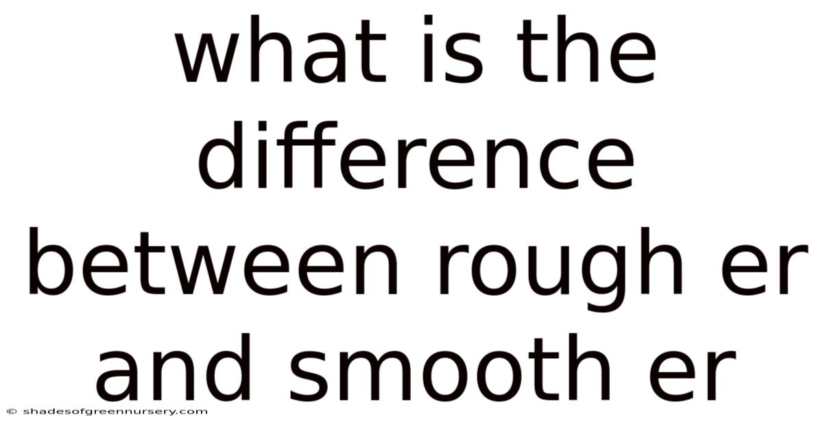 What Is The Difference Between Rough Er And Smooth Er