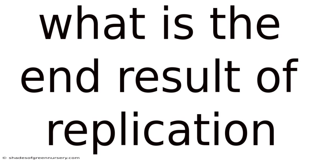 What Is The End Result Of Replication