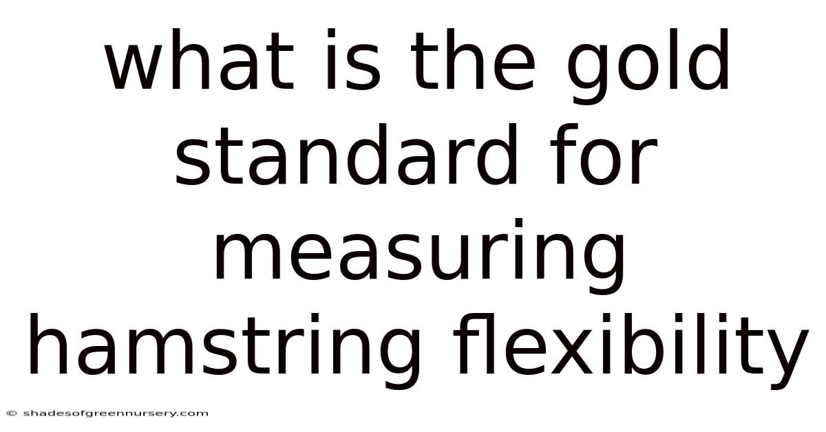 What Is The Gold Standard For Measuring Hamstring Flexibility