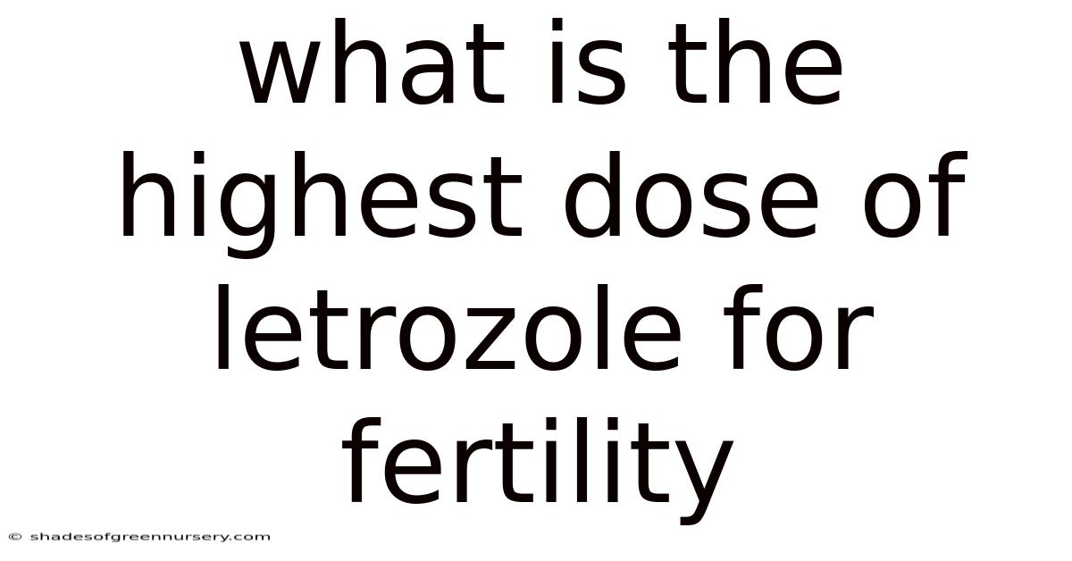 What Is The Highest Dose Of Letrozole For Fertility