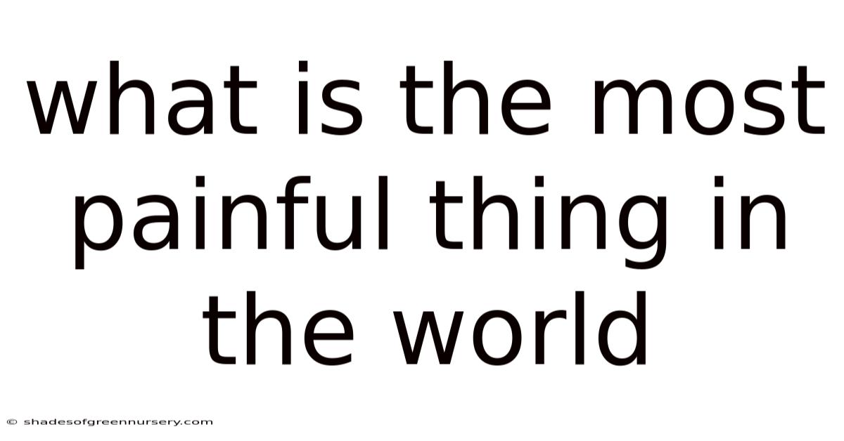What Is The Most Painful Thing In The World