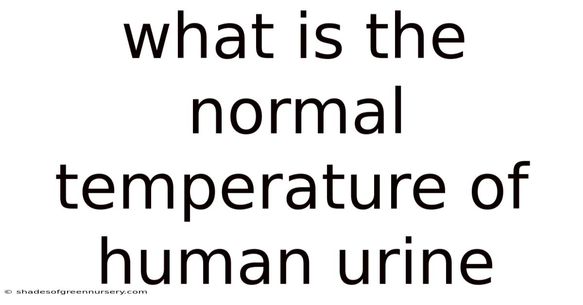 What Is The Normal Temperature Of Human Urine