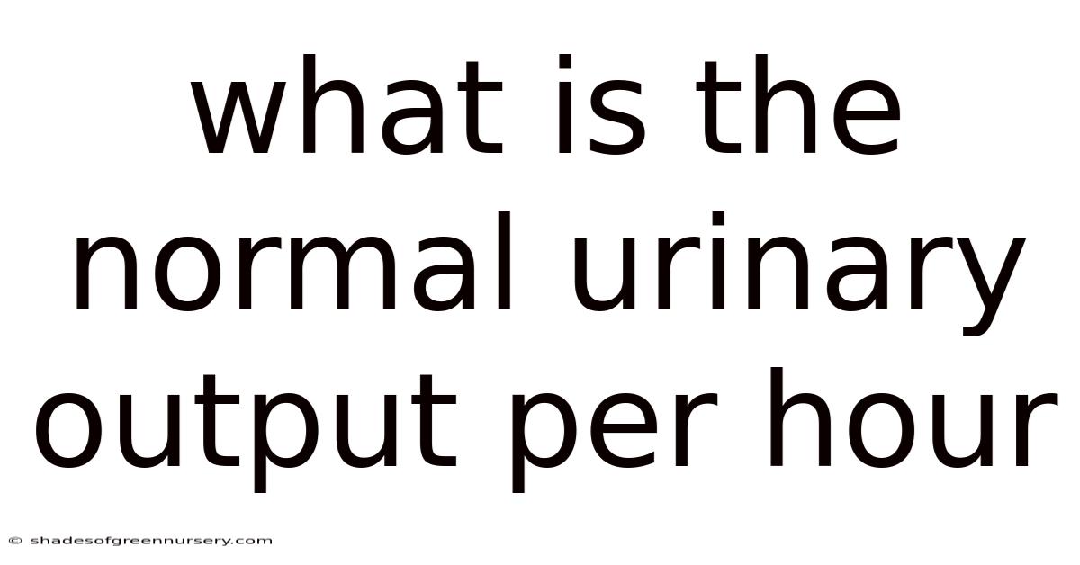 What Is The Normal Urinary Output Per Hour