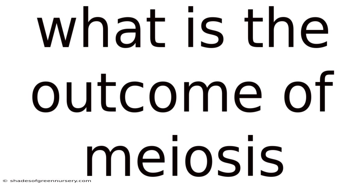 What Is The Outcome Of Meiosis
