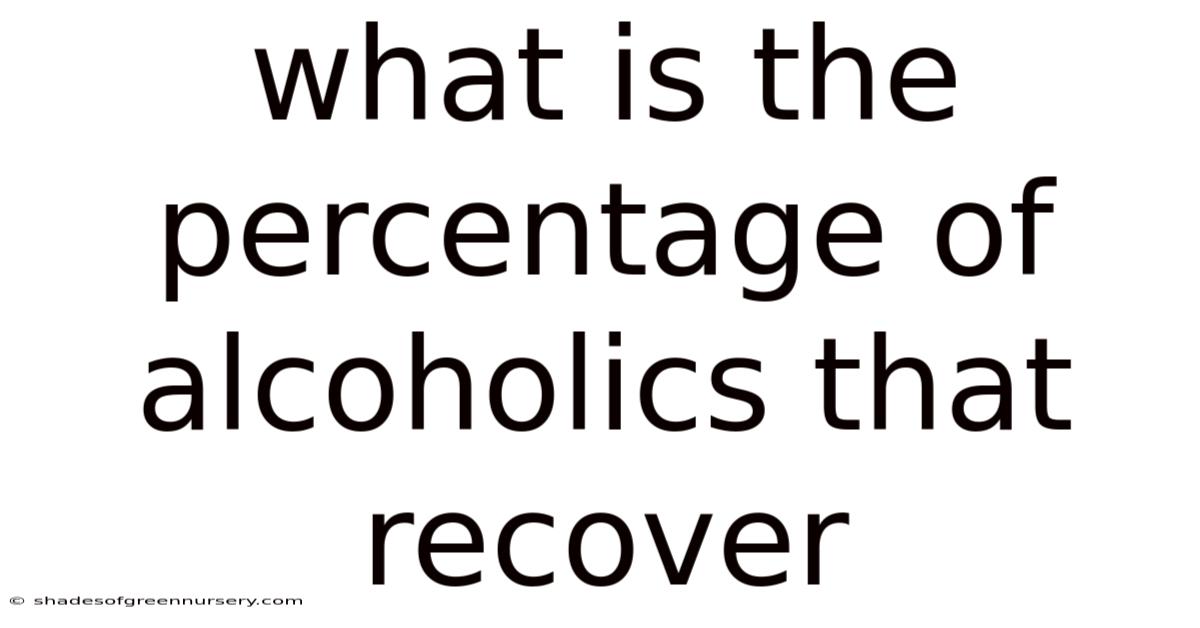 What Is The Percentage Of Alcoholics That Recover