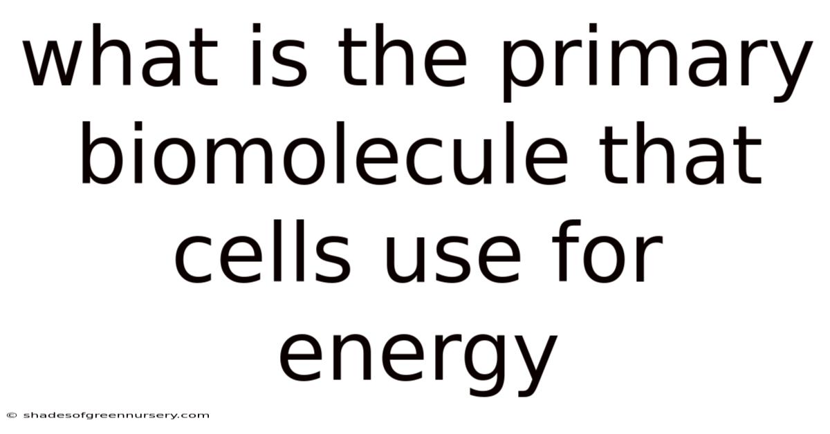 What Is The Primary Biomolecule That Cells Use For Energy