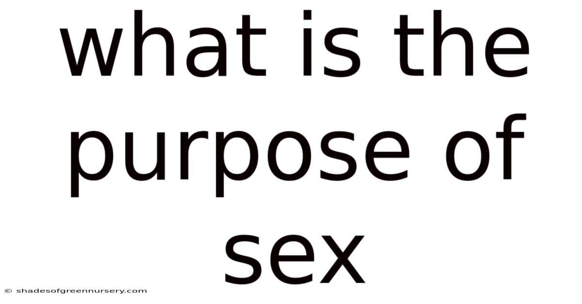 What Is The Purpose Of Sex